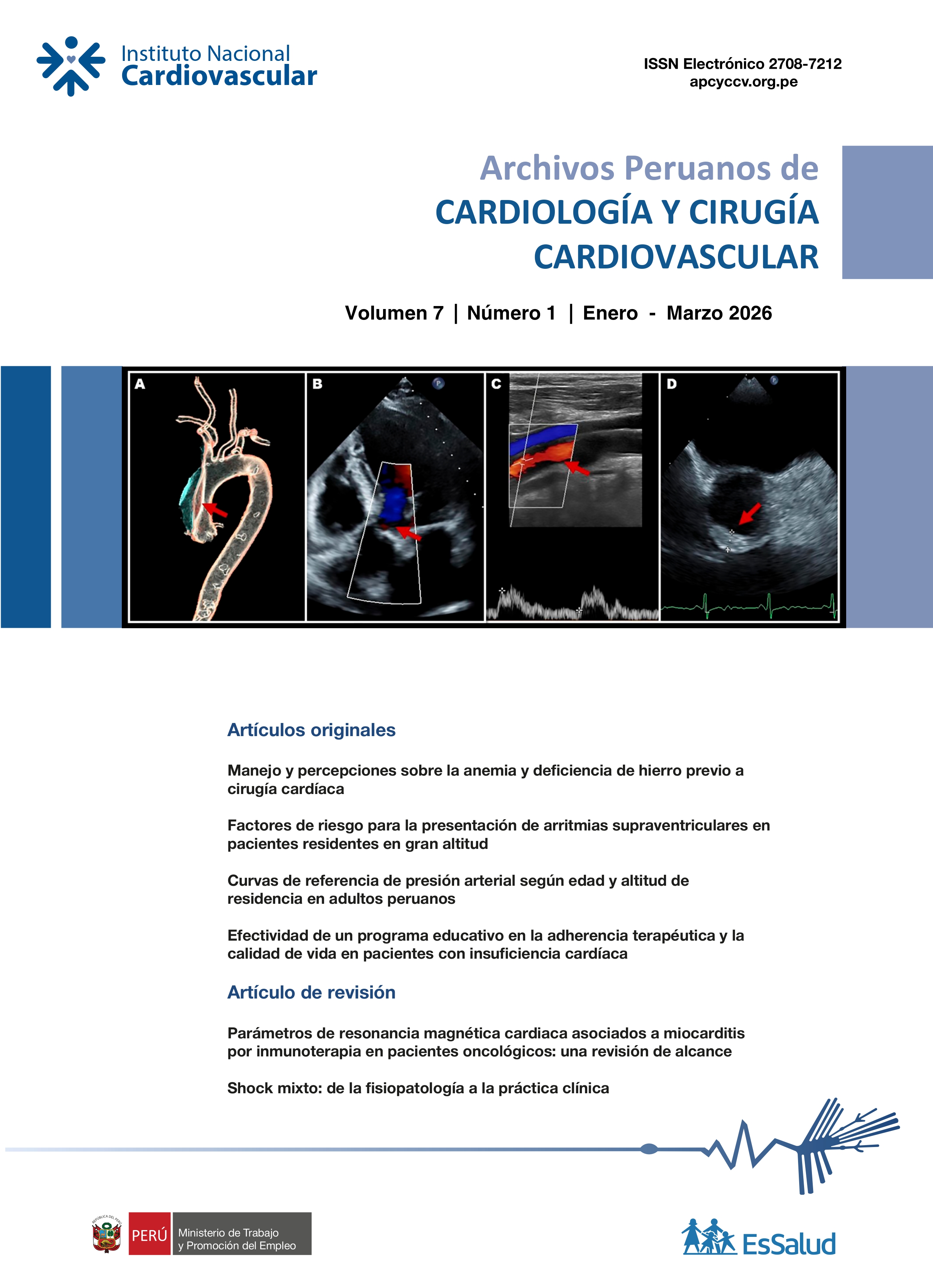 					Ver Vol. 7 Núm. 1 (2026)
				
